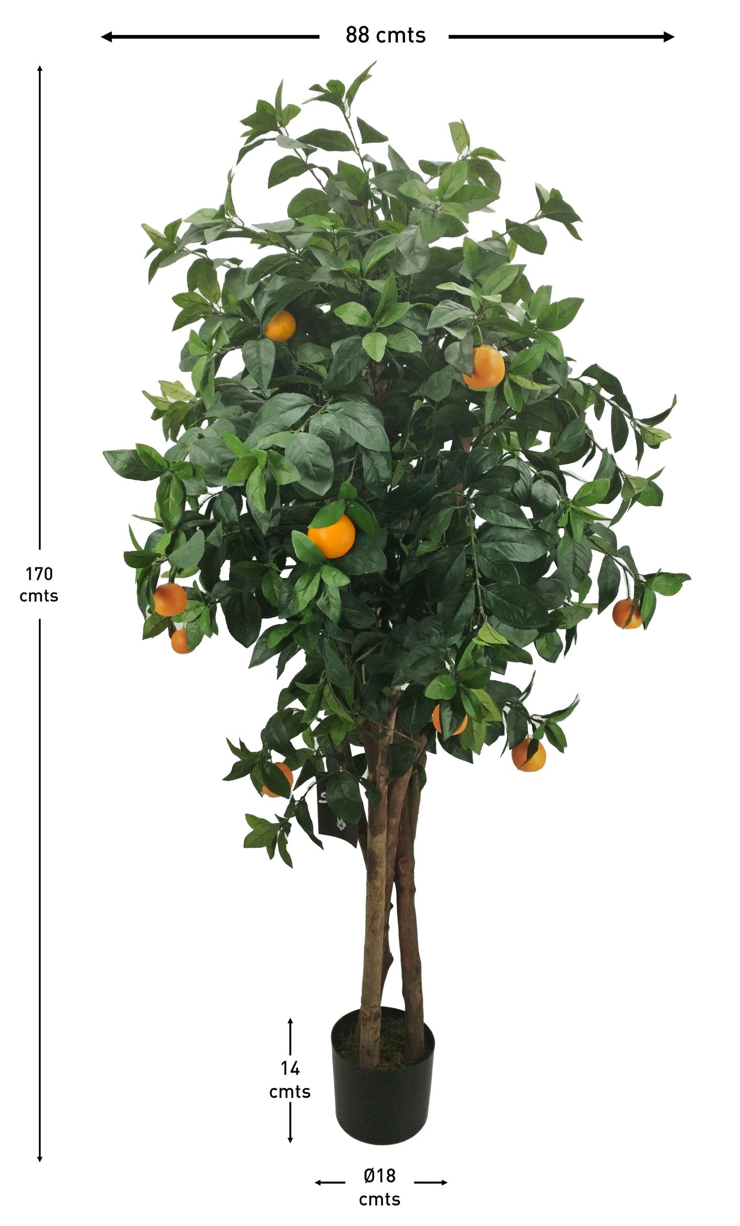 Árbol Naranjo con Tronco Natural – 170 cm