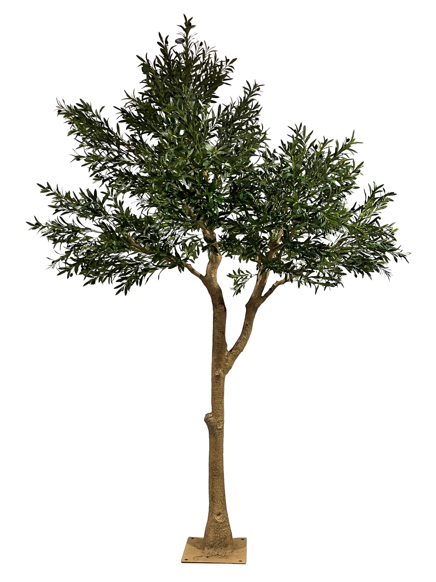 Árbol Olivo – 300 cm