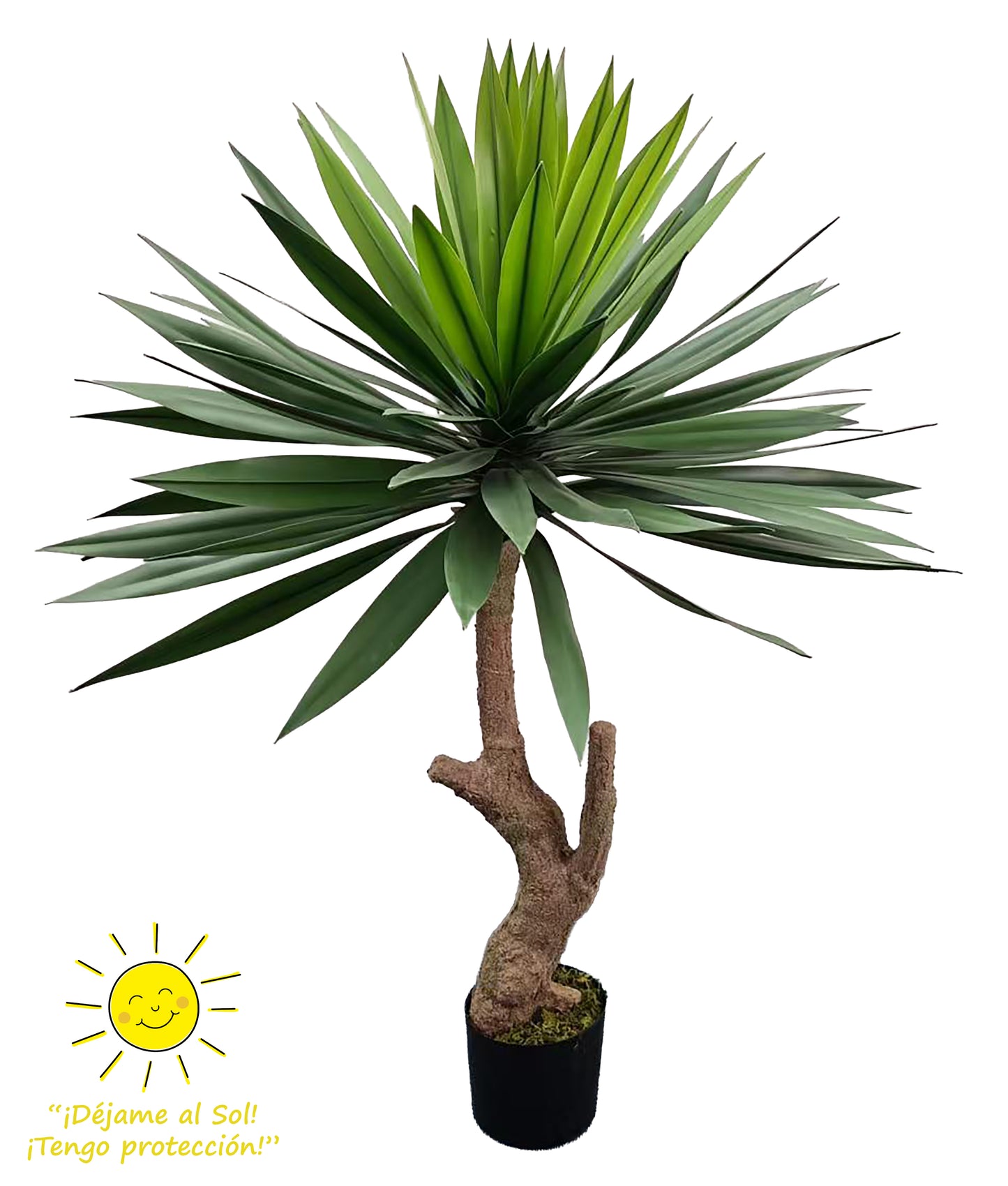 Yuca – 130 cm – Exterior