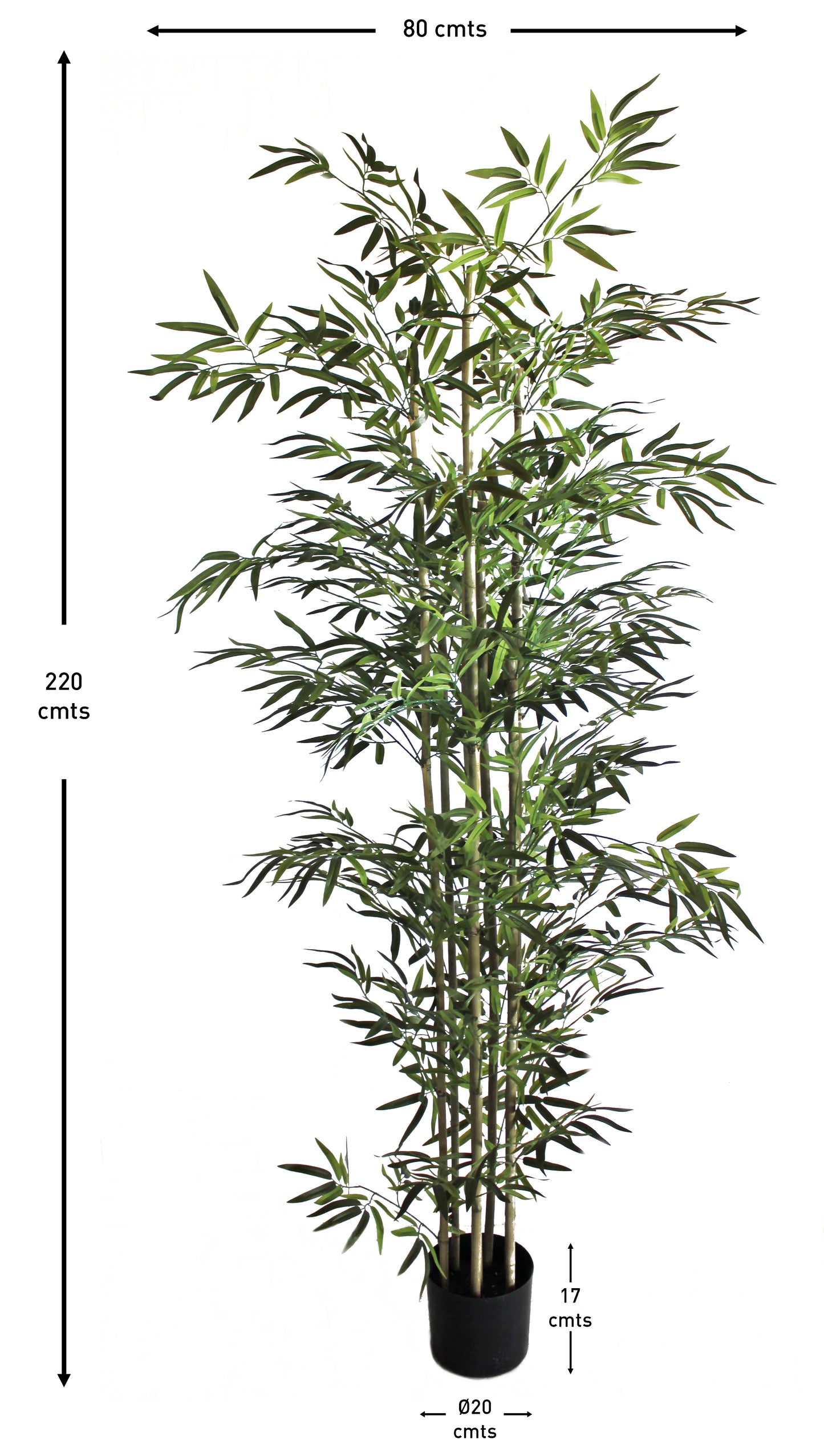 Árbol Bambú – 220 cm