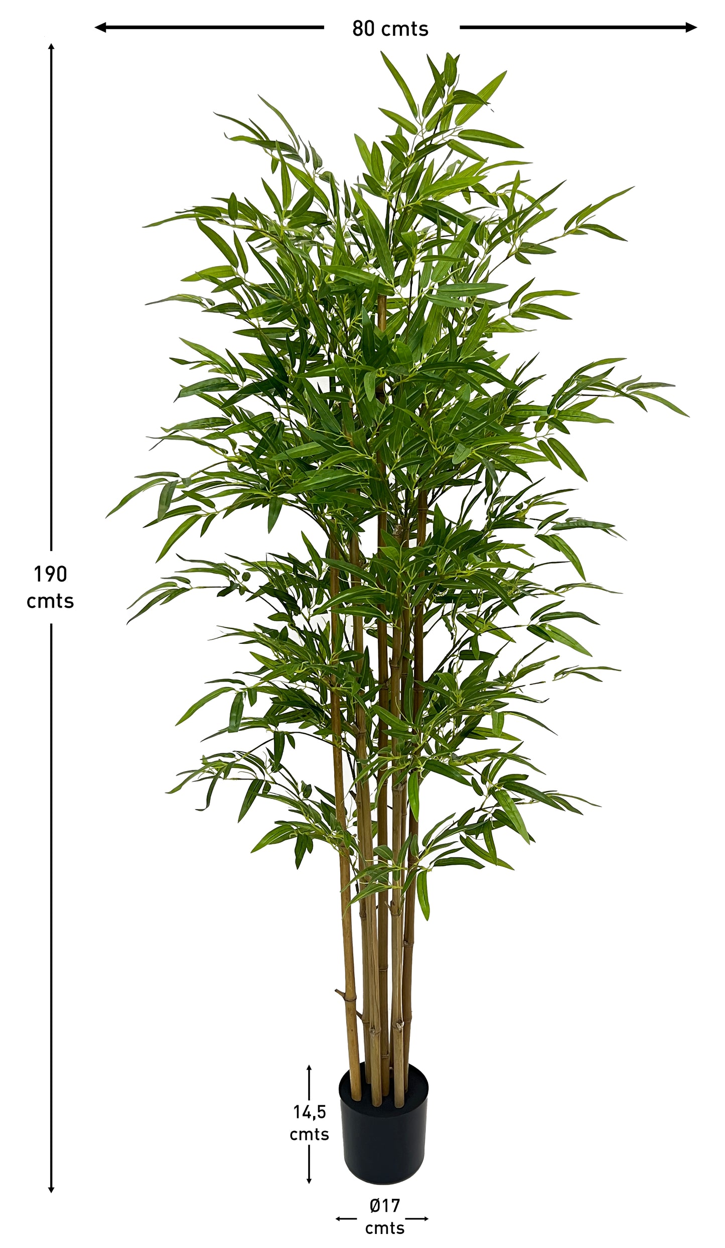 Árbol Bambú – Tronco Natural – 190 cm