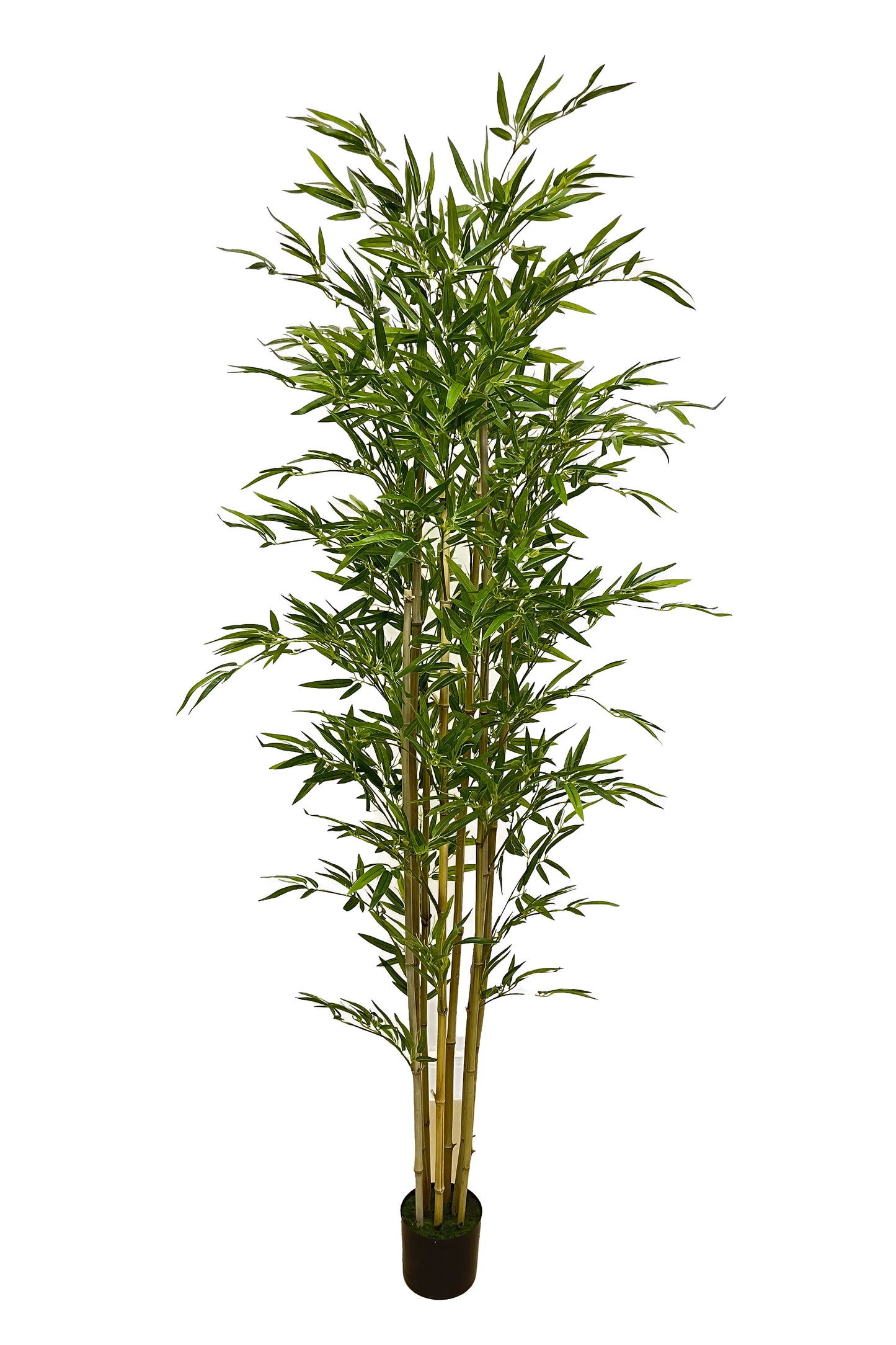 Árbol Bambú – Tronco Natural – 230 cm