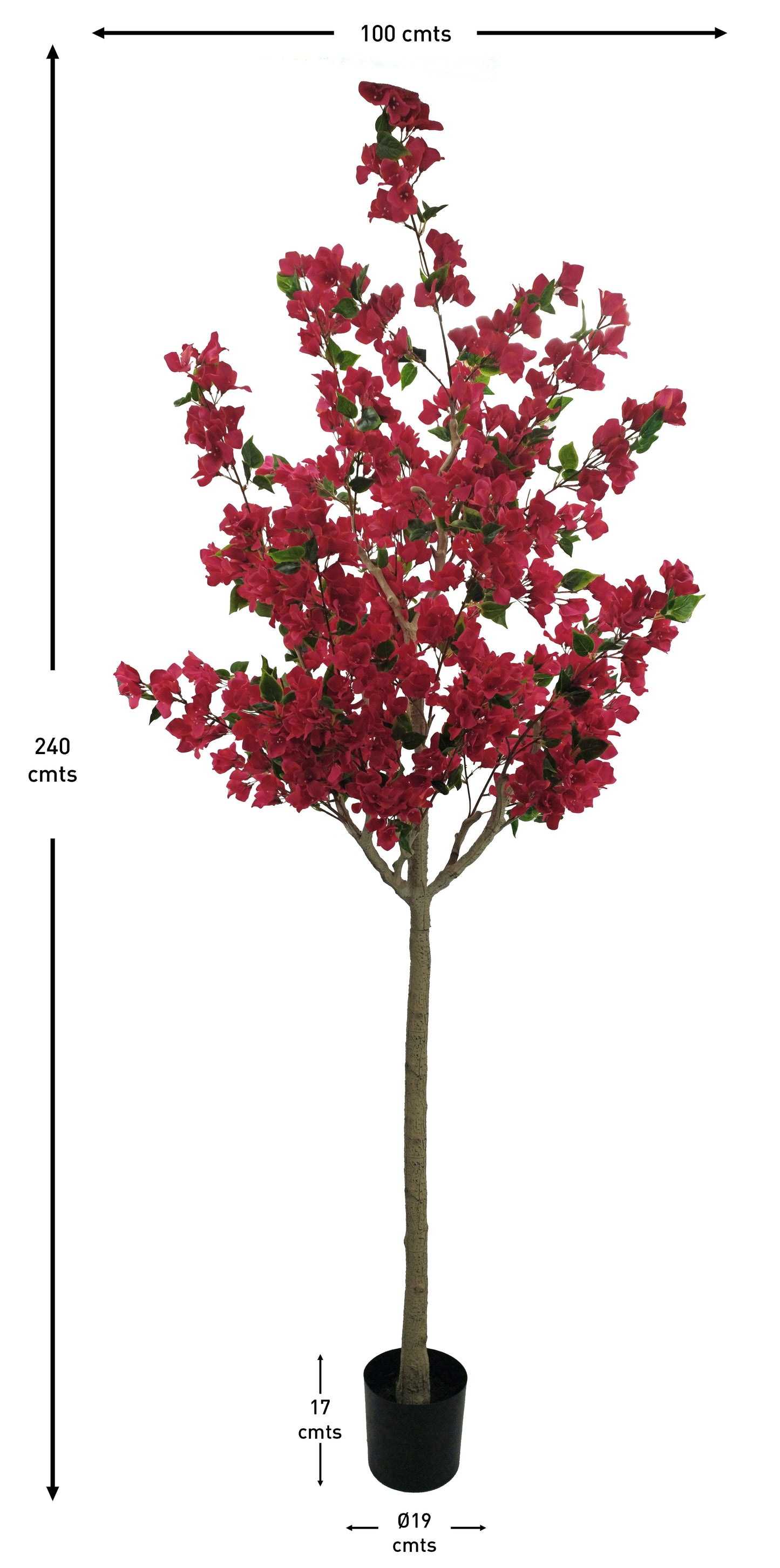Árbol Bouganvilla – 240 cm