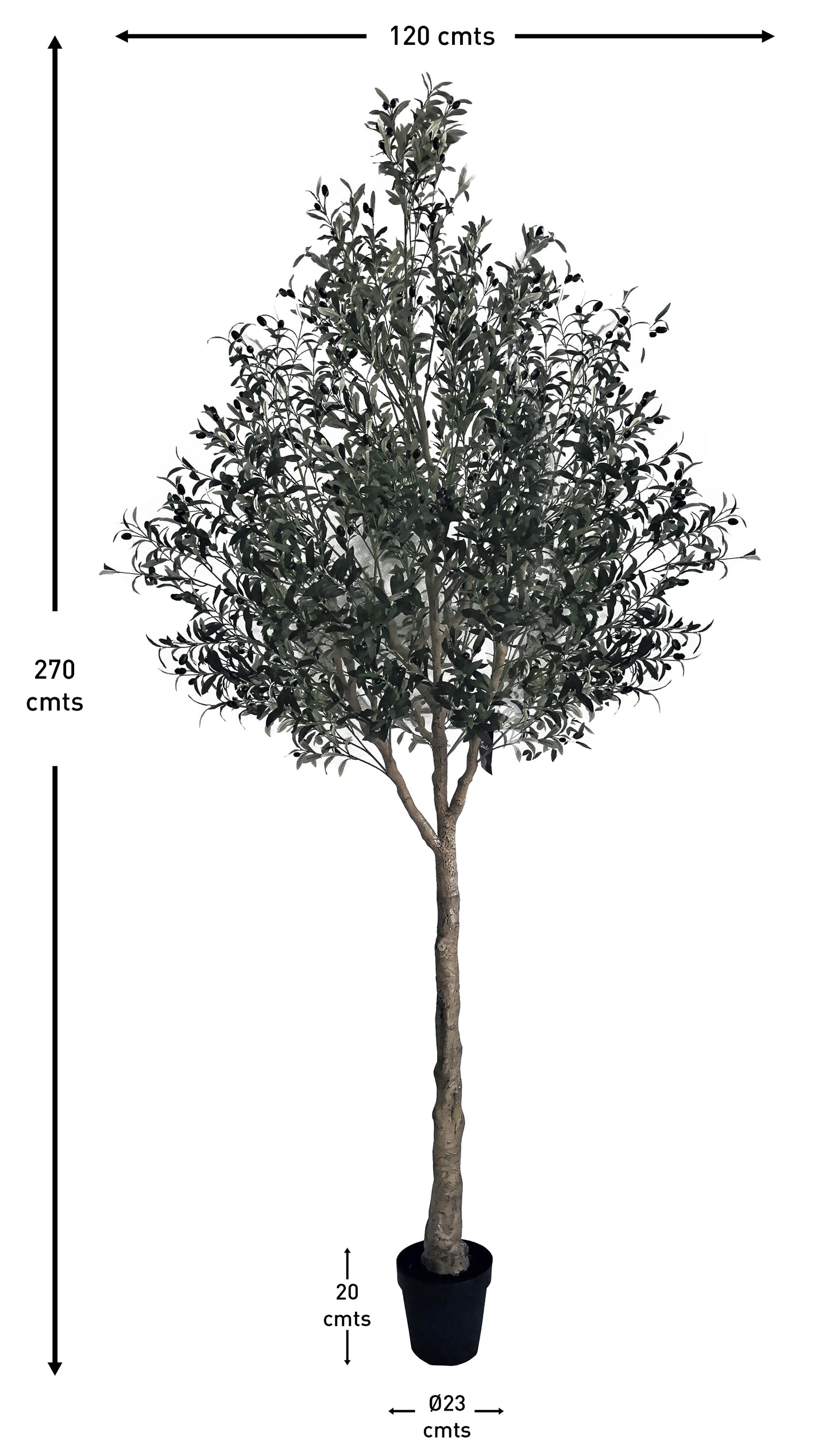 Árbol Olivo – 300 cm
