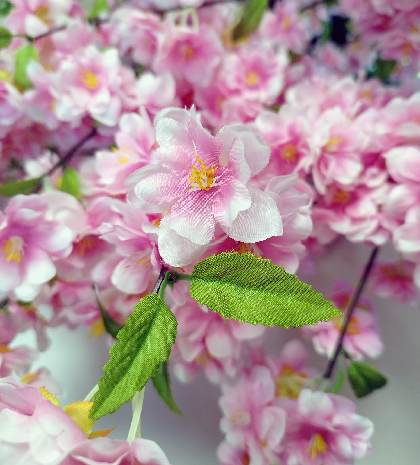 Árbol Almendro Rosa – 200 cm