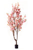 Árbol Almendro Rosa – 200 cm
