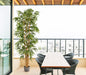 Arbol bambu tronco natural 210 cm