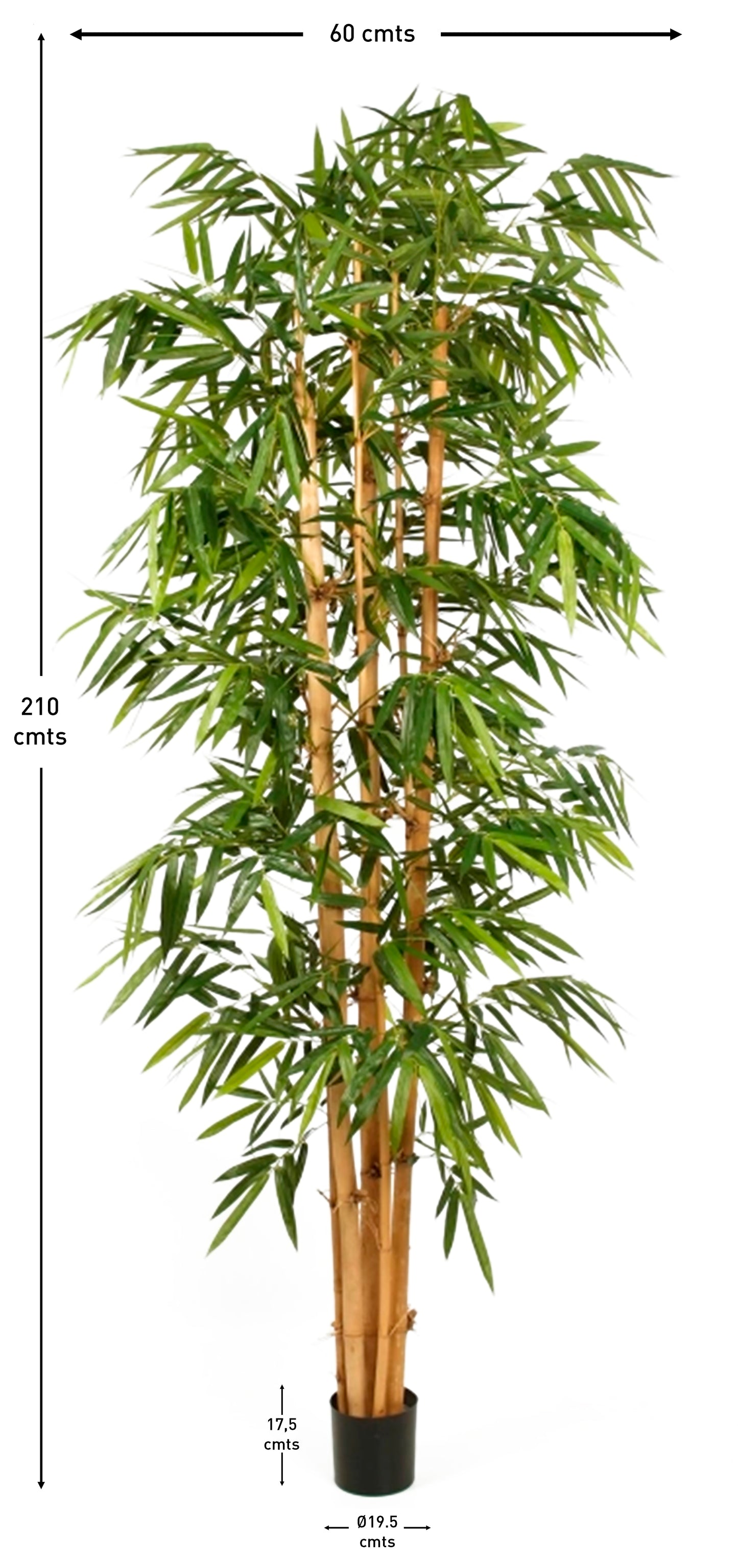 Arbol bambu tronco natural 210 cm