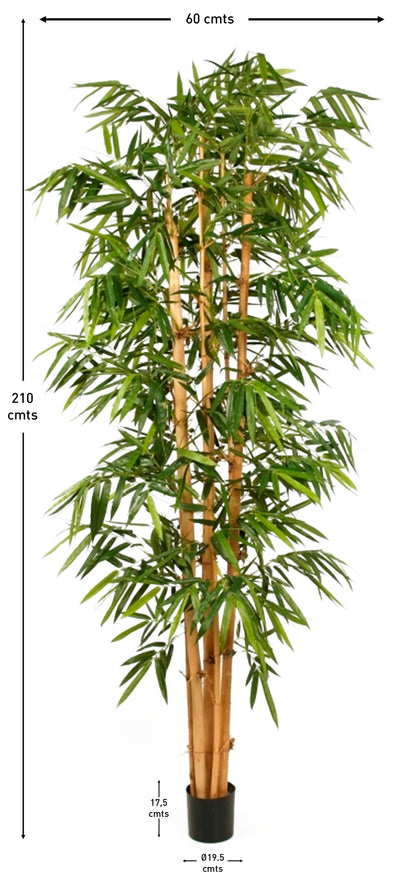 Arbol bambu tronco natural 210 cm