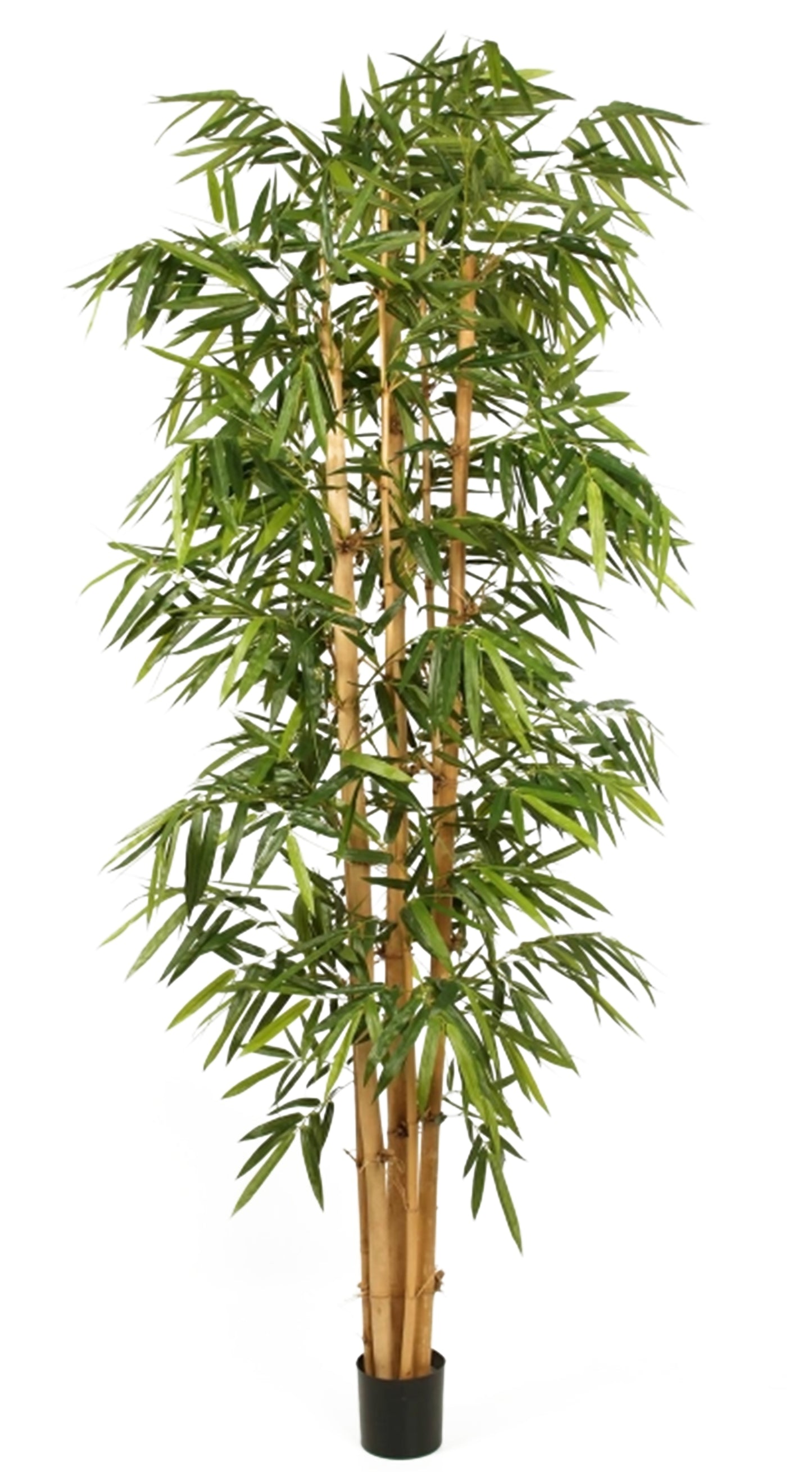 Arbol bambu tronco natural 210 cm