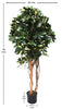 Arbol Chefflera tronco natural 150 cm