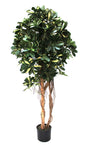Arbol Chefflera tronco natural 150 cm