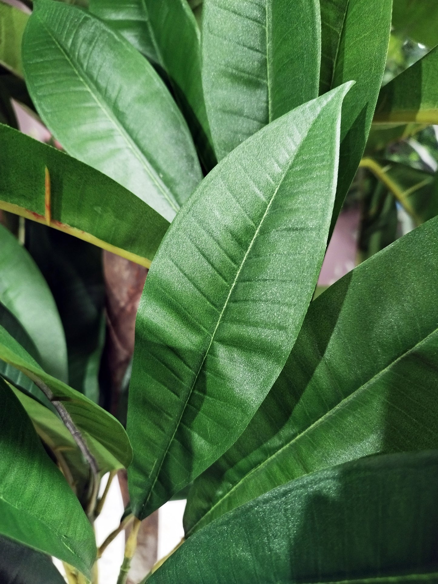 Árbol Plumeria – Tronco Natural – 180 cm