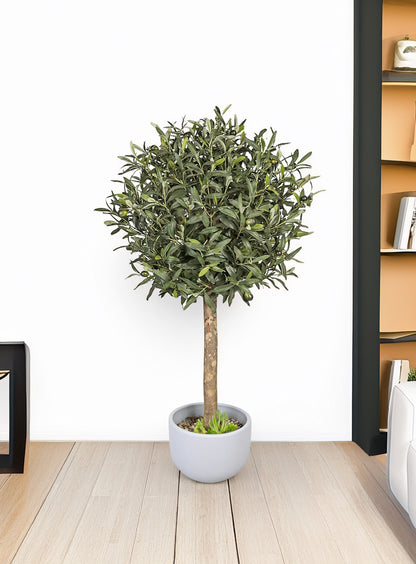 Árbol Olivo – Tronco Natural – 100 cm