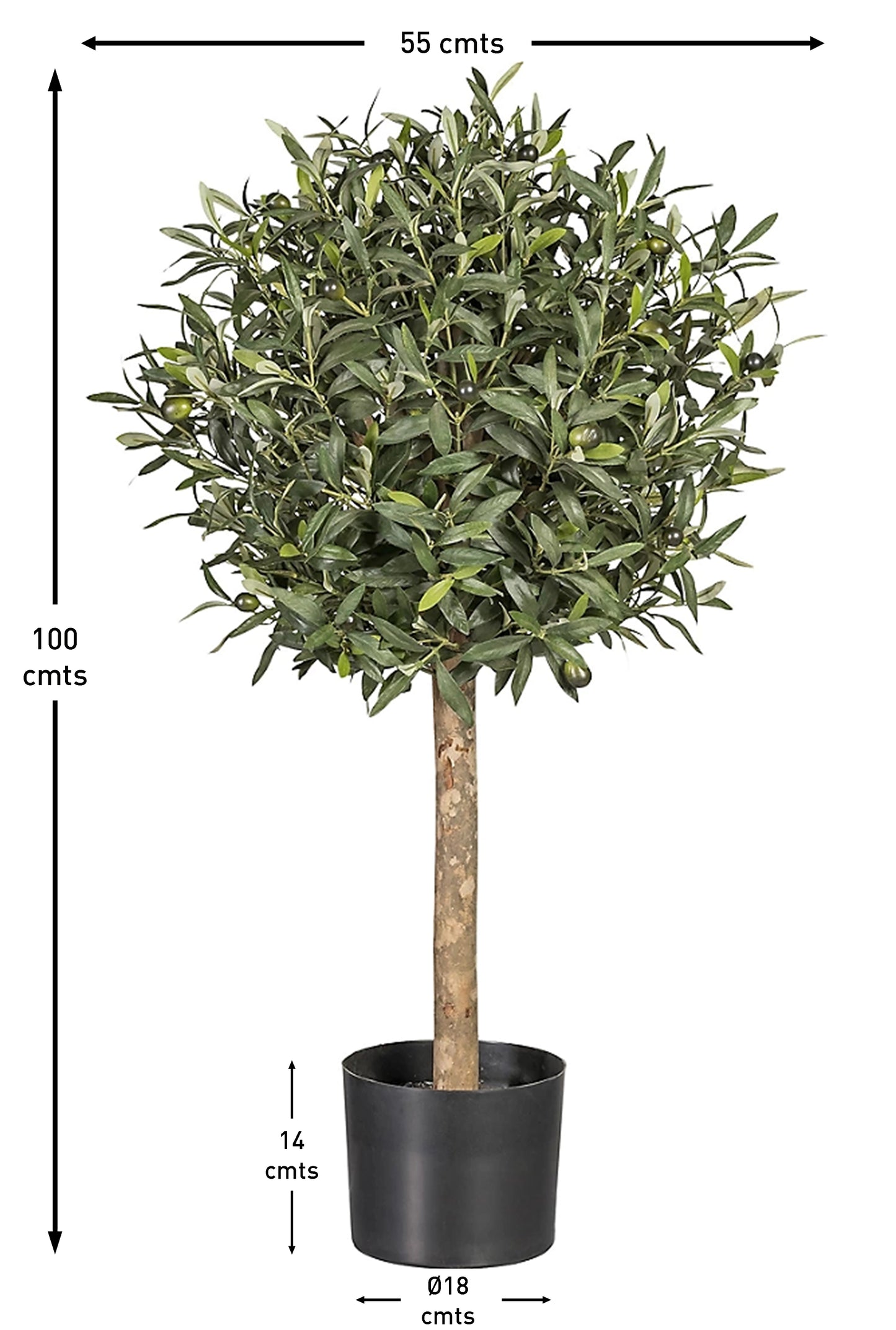 Árbol Olivo – Tronco Natural – 100 cm