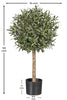 Árbol Olivo – Tronco Natural – 100 cm