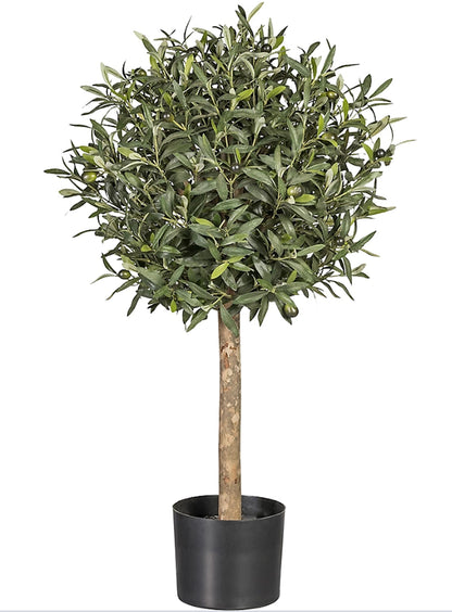 Árbol Olivo – Tronco Natural – 100 cm