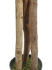 Árbol Naranjo con Tronco Natural – 170 cm