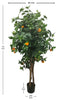 Árbol Naranjo con Tronco Natural – 170 cm