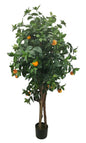 Árbol Naranjo con Tronco Natural – 170 cm