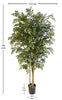 Árbol Acacia – Tronco Natural – 180 cm