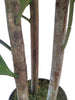 Árbol Chefflera – Tronco Natural – 120 cm