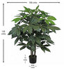 Árbol Chefflera – Tronco Natural – 120 cm