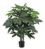 Árbol Chefflera – Tronco Natural – 120 cm