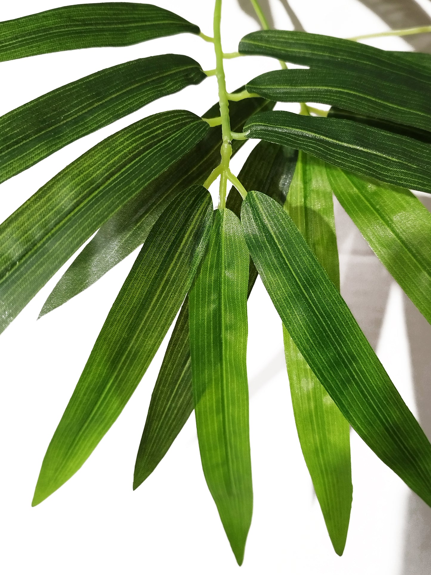 Árbol Bambú Royal – Tronco Natural – 210 cm