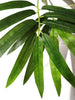 Árbol Bambú Royal – Tronco Natural – 210 cm