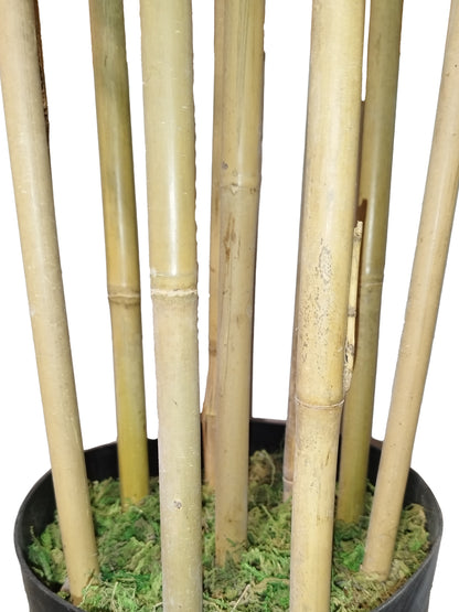 Árbol Bambú Royal – Tronco Natural – 210 cm