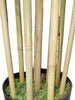 Árbol Bambú Royal – Tronco Natural – 210 cm
