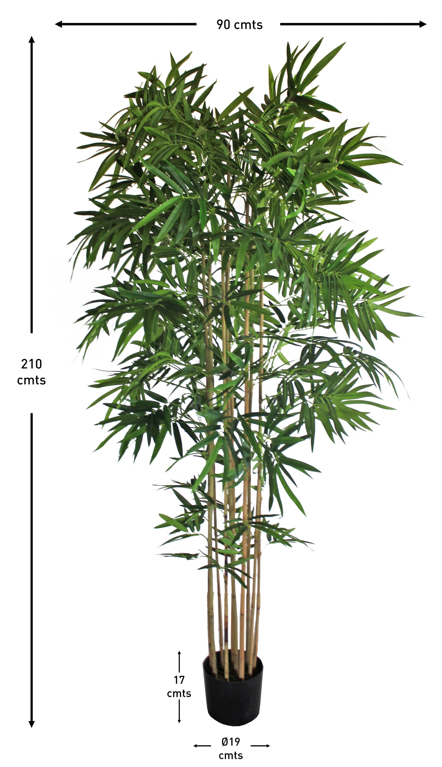 Árbol Bambú Royal – Tronco Natural – 210 cm
