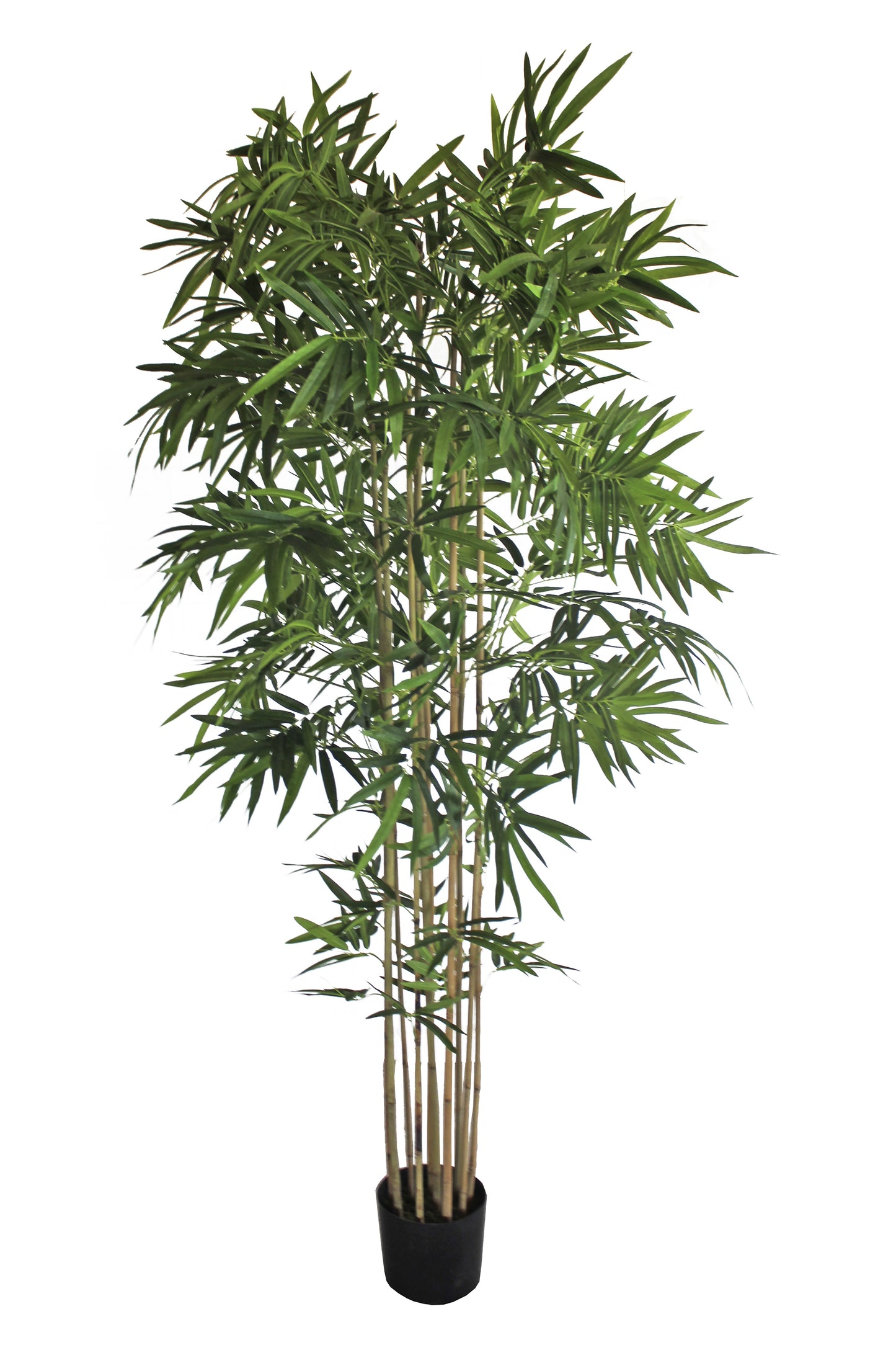 Árbol Bambú Royal – Tronco Natural – 210 cm
