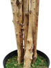 Árbol de Arce con Tronco Natural – 180 cm