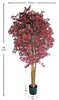 Árbol de Arce con Tronco Natural – 180 cm
