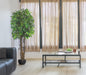 Árbol Ficus Mini – Tronco Natural – 180 cm