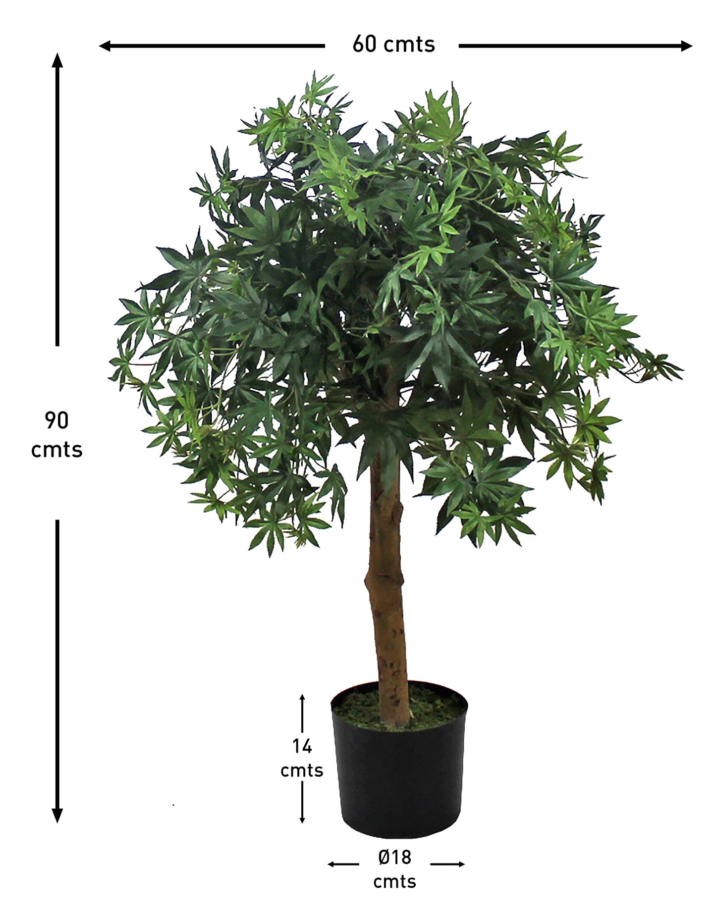 Árbol Arce – Tronco Natural – 90 cm