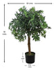 Árbol Arce – Tronco Natural – 90 cm