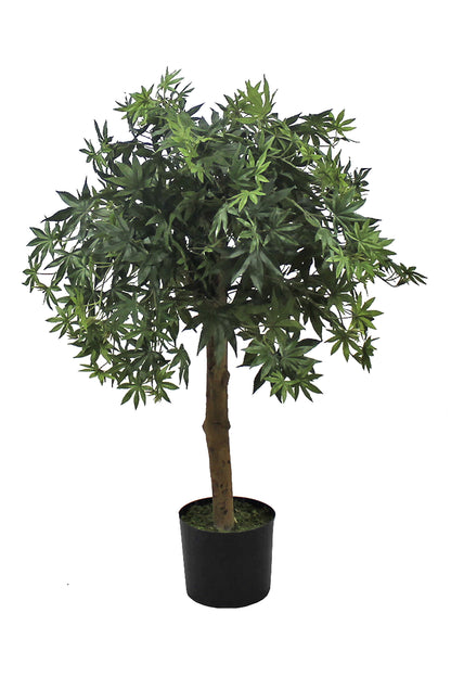 Árbol Arce – Tronco Natural – 90 cm