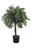 Árbol Arce – Tronco Natural – 90 cm
