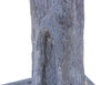 Árbol Ziziphus – 500 cm