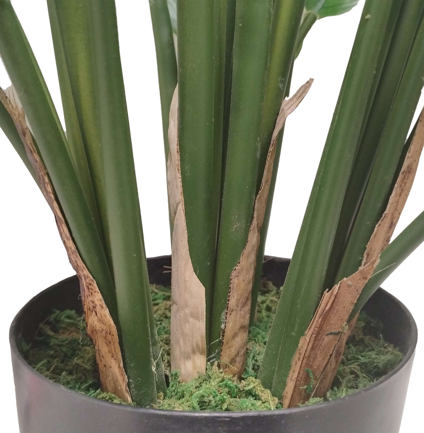 Maceta con Planta Calathea Artificial – 80 cm