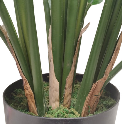 Maceta con Planta Calathea Artificial – 80 cm