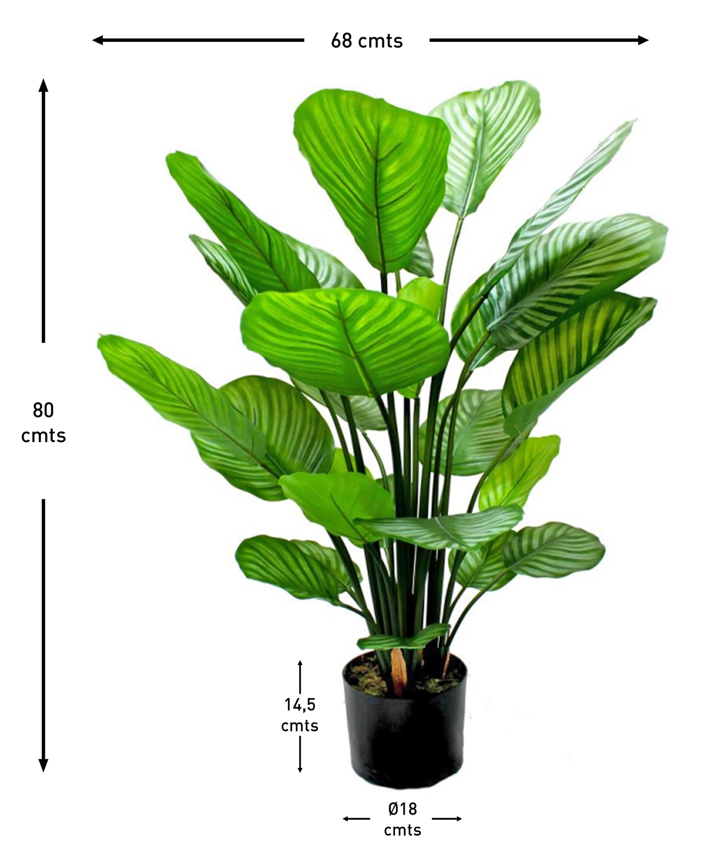Maceta con Planta Calathea Artificial – 80 cm