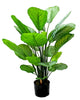Maceta con Planta Calathea Artificial – 80 cm