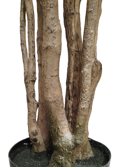 Árbol Aralia Fabian Artificial – 200 cm