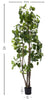 Árbol Aralia Fabian Artificial – 200 cm