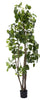 Árbol Aralia Fabian Artificial – 200 cm