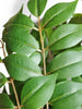 Árbol Alianto Artificial – 195 cm